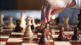 The Science of Chess: How to Improve Your Game