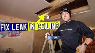 HOW TO FIX A CEILING LEAK with Bosch GKS 12v 26!