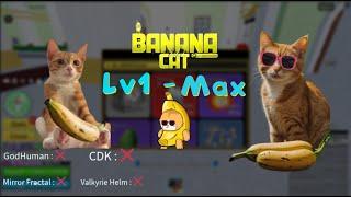Blox Fruits Script | Kaitun Lv1 to Max (Banana Cat Hub) - Showcase