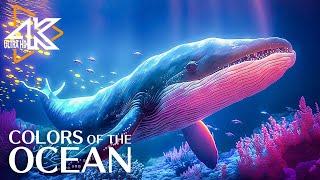 The Ocean 4K - Captivating Moments with Jellyfish and Fish in the Ocean   Relaxation Video #3