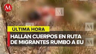 Hallan cuatro cadáveres de presuntos migrantes en Baja California