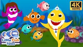 Five Little Fish Jumping on the Kelp | Baby Shark | Little Fish Tales | #rhymes