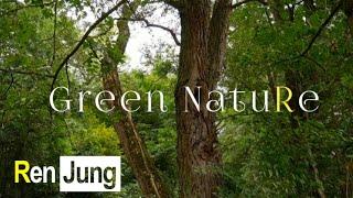 Green Nature | [Nature scenery, nature lover]