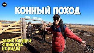 КОННЫЙ ПОХОД В БУРГЕНИ | Чита, Забайкальский край