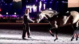 Le spectacle Clémence Faivre - Longines Masters Paris 2017