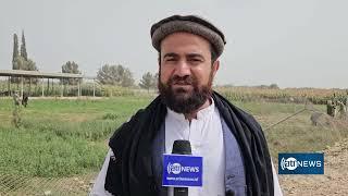 Kandahar residents hope TAPI project creates jobs|امیدواری باشندگان کندهار ازایجاد کار از پروژه تاپی