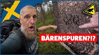 BÄRENSPUREN BEI DER MOORWANDERUNG ENTDECKT?!?  FAMILIEN URLAUB VLOG #02