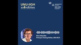 UNU-IIGH Soundbites: Thoughts on Global Health Priorities | Vaccines and Immunisation