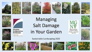 Managing Salt Damage in Your Garden