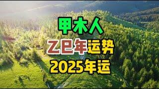 甲木人乙巳年运势，2025年运势#国学智慧 #正能量 #修行 #感情 #情感 #星座 #人生感悟 #分享