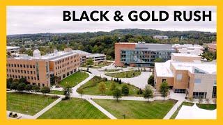 Black & Gold Rush 2025: Generosity in Action