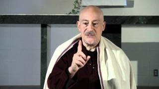 "Do Nothing" Meditation ~ Shinzen Young