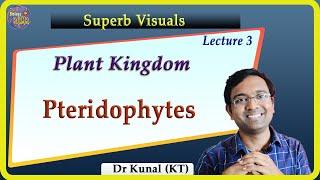 Pteridophytes - Plant Kingdom I NEET I Dr Kunal Tatte (KT)