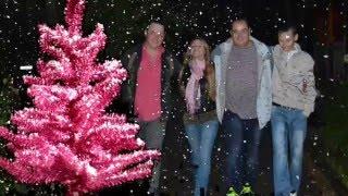 диско группа"кристалл" новогодняя видео hd