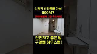 서울 신림 원룸 반려동물 가능! | 보증금 500만원, 월세 47만원 #신림원룸 #서울반려동물가능원룸 #서울보증금500만원