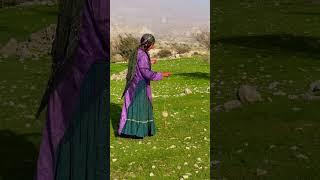 From Fleece to Fiber: The Art of Yarn-Making in Rural and Nomadic Lifestyle Iran #shorts