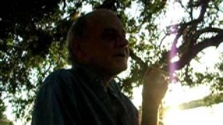 DSCN1533.MOV