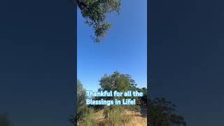 What a beautiful day it is! #beautiful #nature #pretty #views #health #personal #spiritual #fun