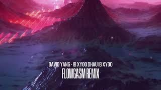 David Yang - Ib Xyoo Dhau Ib Xyoo (FlowGasm Remix)