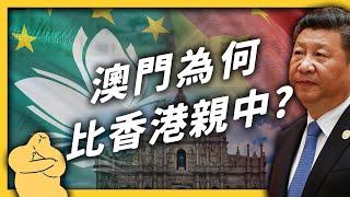 「一國兩制」乖寶寶？比起香港，澳門為什麼很少對中國抗議？《 左邊鄰居觀察日記 》EP 050｜志祺七七