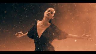 Sterbinszky feat. David Schwartz - Moonlight Shadow (Official Music Video)