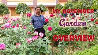 MY  NOVEMBER GARDEN OVERVIEW With Rose Garden Updates.