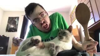 HAVE YOU BEEN A BAD KITTY ?  - Ricky Berwick