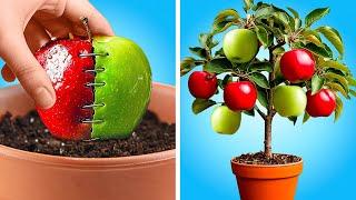  15 GARDENING HACKS YOU'LL WISH YOU KNEW SOONER! 