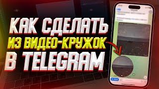 Как сделать видео кружочек из любого видео в Telegram?