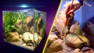 Making a Stream Aquarium (Low Tech Aquascape)