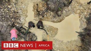 Galamsey: The deadly dig for gold - BBC Africa