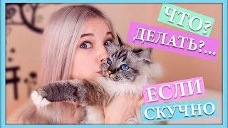 Что делать если скучно дома (чем заняться)