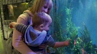 Blue Zoo Interactive Aquarium