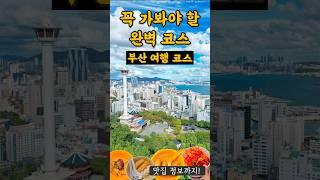 이걸로 종결 (부산 뚜벅이 여행 코스 끝판왕) 부산 인기 여행지 맛집 싹다모음️ Korea Busan Travel Trip