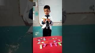 Intelligent Boy (Alamir Foundation education system Devi Branch)