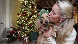 FROSTY DOG WALKS IN THE COUNTRY | FESTIVE COFFEES & WHAT TO GIFT THIS CHRISTMAS - Vlogmas Day 3