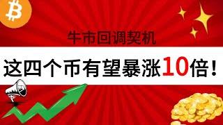 狗狗币要突破近期1美元目标要满足以下条件！重点二:牛市回调契机！这四种加密货币有潜力暴涨10倍！