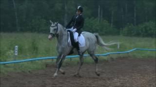 Нижегородский ипподром. Выездка 25.06.16. Светлана Захарова - Эола. ППД-А