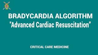 4  Bradycardia Algorithm - Advanced cardiac resuscitation