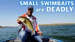 How to Fish a Finesse Swim Bait - Expert fishing tips you need to know to catch more bass