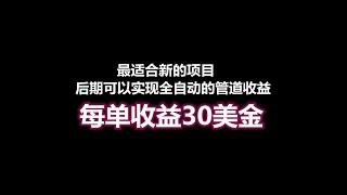 《2022赚钱项目》适合新手的赚钱项目，自由职业赚钱项目，兼职赚钱，副业赚钱，