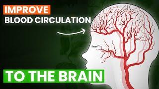 Zeaxanthin and Lutein Save the Eyes and Improve Brain Circulation