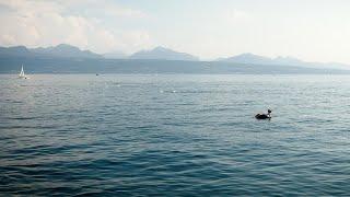 Water in all its forms in the Canton of Vaud !