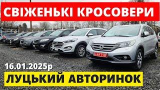 СВІЖІ ЦІНИ НА КРОСОВЕРИ / ЛУЦЬКИЙ АВТОРИНОК / 16.01.25р. #колоритмоторс #автопідбір #кросовери