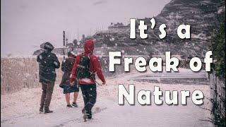 Freaks of Nature, Sea Foam Party Time - Llanfairfechan, Wales