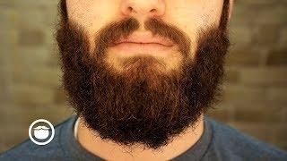 When to Get a Beard Trim | YEARD WEEK 13