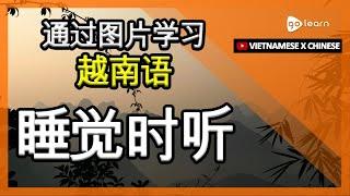 通过图片学习越南语|越南语词汇睡觉时听 | Golearn