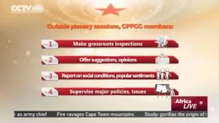 What is  CPPCC?