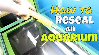 How to Reseal an Aquarium | Resealing Our 75 Gallon Fish Tank