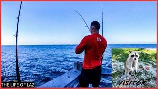 Bill Baggs | BAD day fishing | THE LIFE OF LAZ